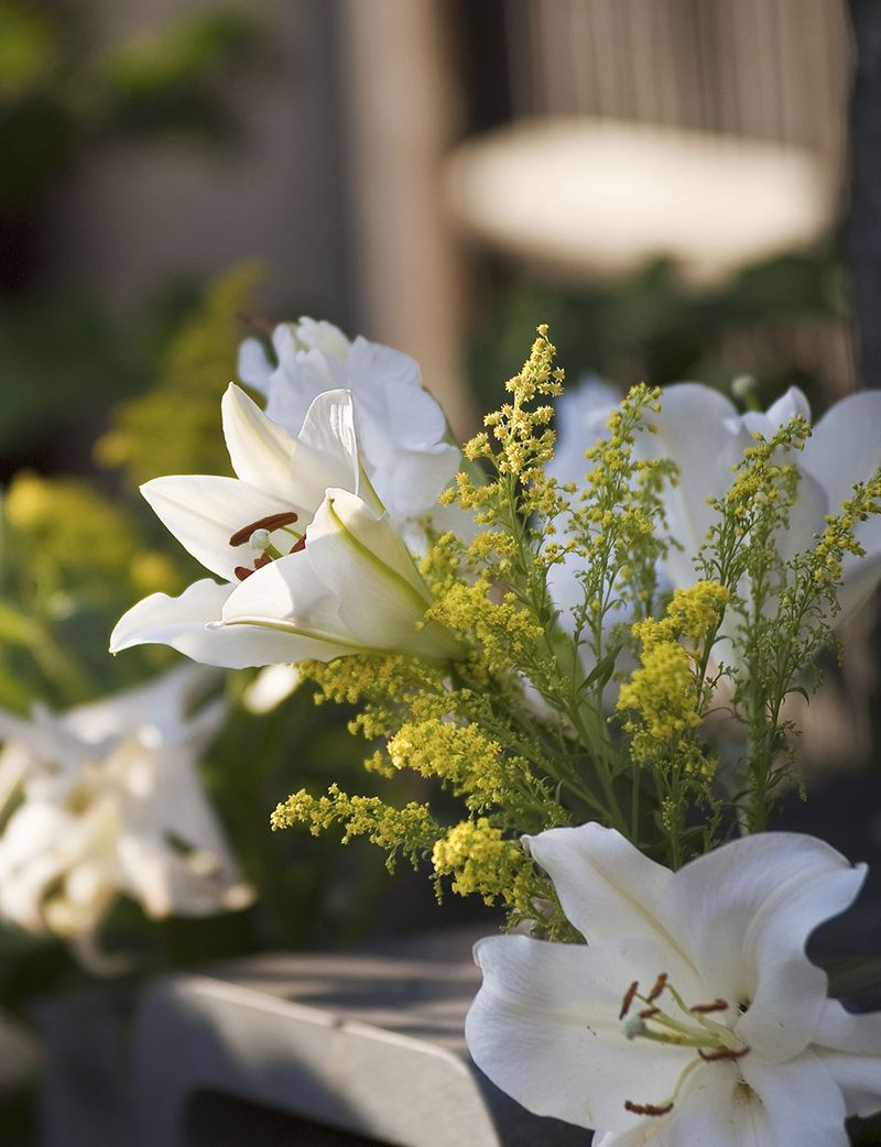 Weiße Blumen
